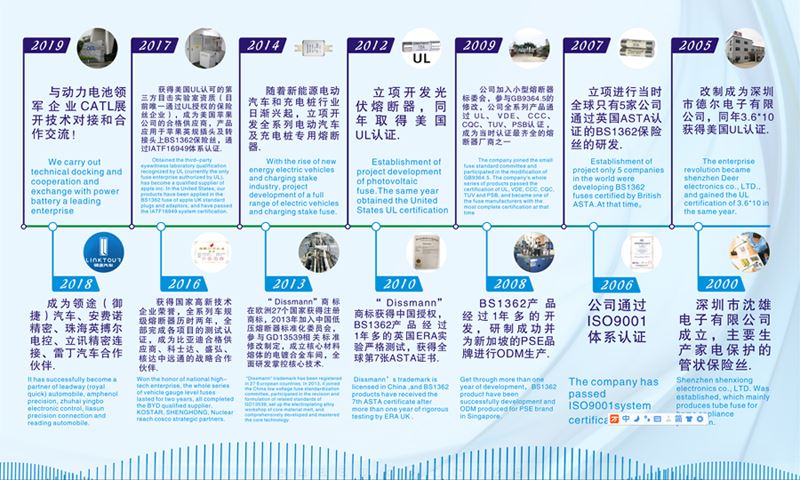 Dissmann Company History